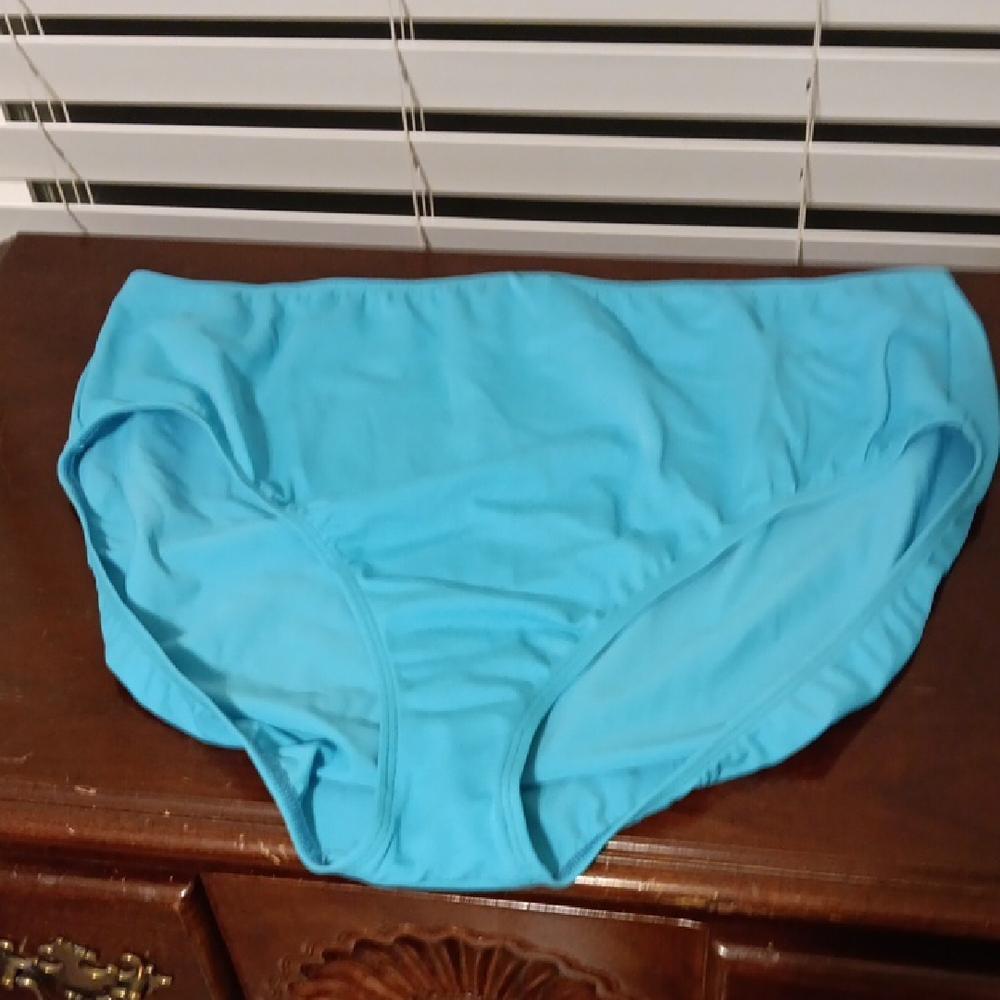 Roaman's Turquoise Swim Bottom